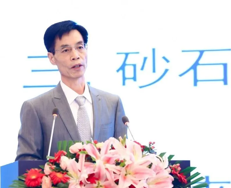 主旨報(bào)告 | 胡幼奕以國(guó)際化視角，提出固廢綜合利用和生態(tài)環(huán)境修復(fù)新思路